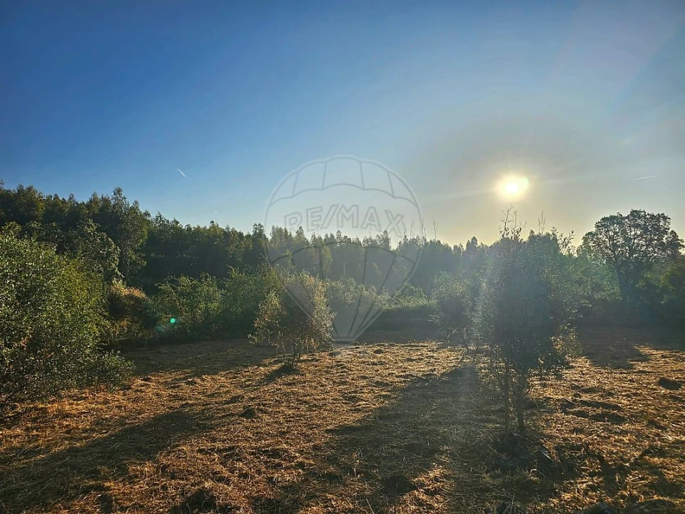 Terreno para Venda em Mação, Penhascoso e Aboboreira Foto 16