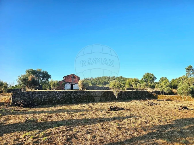 Terreno para Venda em Mação, Penhascoso e Aboboreira Foto 9