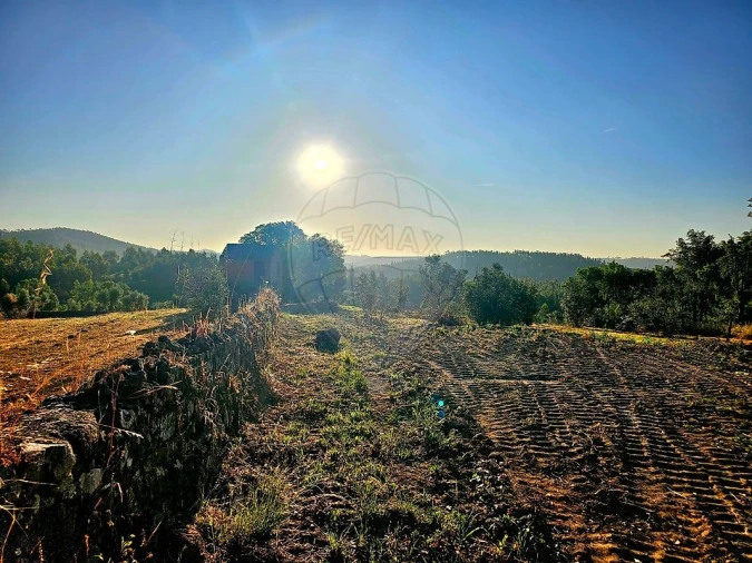 Terreno para Venda em Mação, Penhascoso e Aboboreira Foto 14