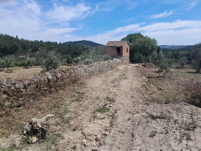 Terreno para Venda em Mação, Penhascoso e Aboboreira Foto 3