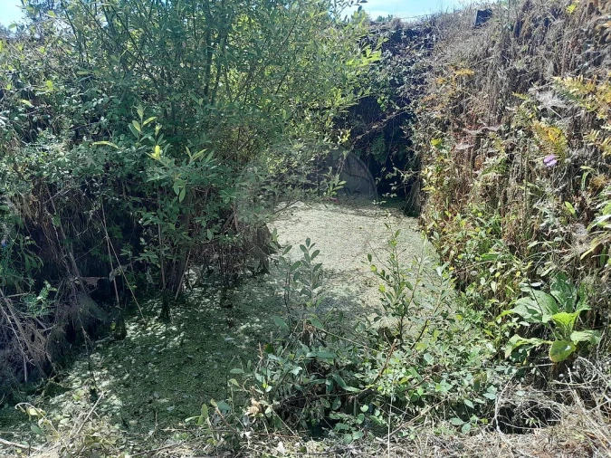 Terreno para Venda em Mação, Penhascoso e Aboboreira Foto 6