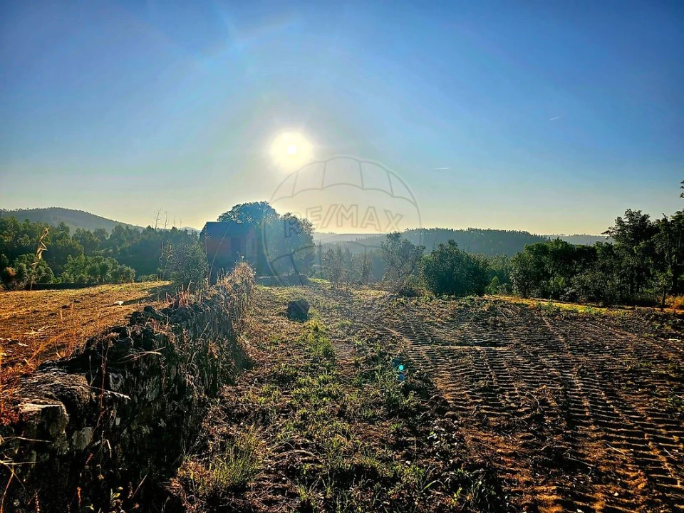 Terreno para Venda em Mação, Penhascoso e Aboboreira Foto 14