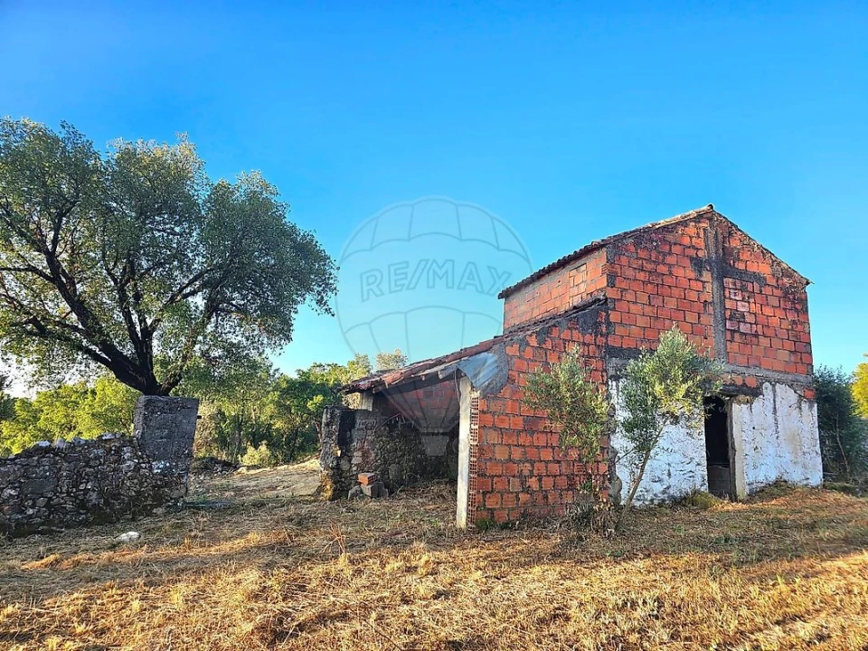 Terreno para Venda em Mação, Penhascoso e Aboboreira Foto 12