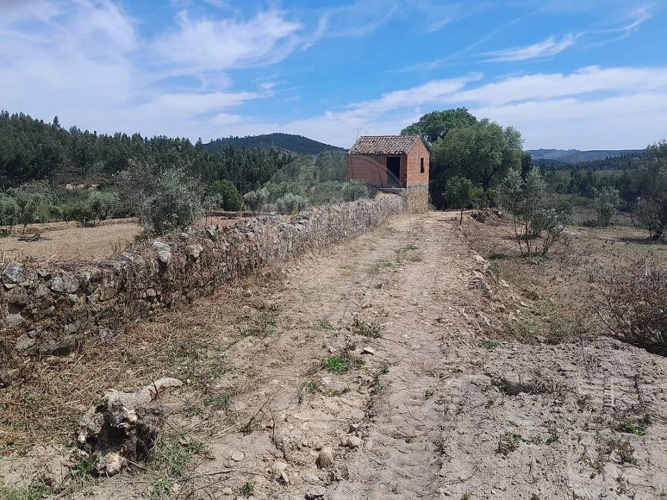 Terreno para Venda em Mação, Penhascoso e Aboboreira Foto 3