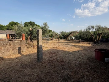 Moradia T10 para Venda em Soalheira