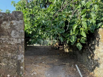 Moradia T10 para Venda em Soalheira
