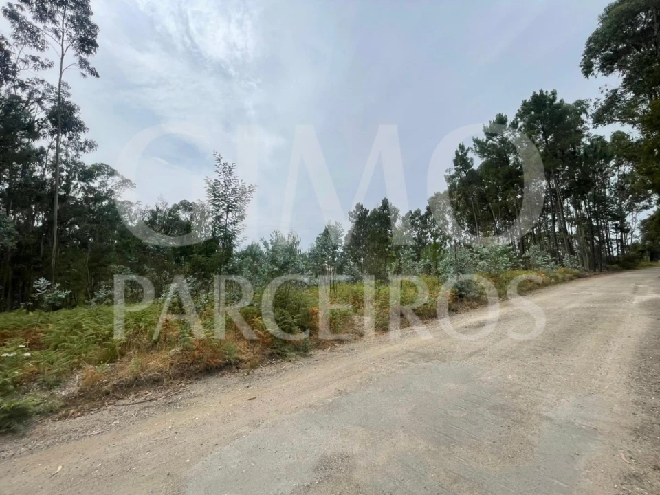 Terreno para Venda em Oliveira do Bairro Foto 7
