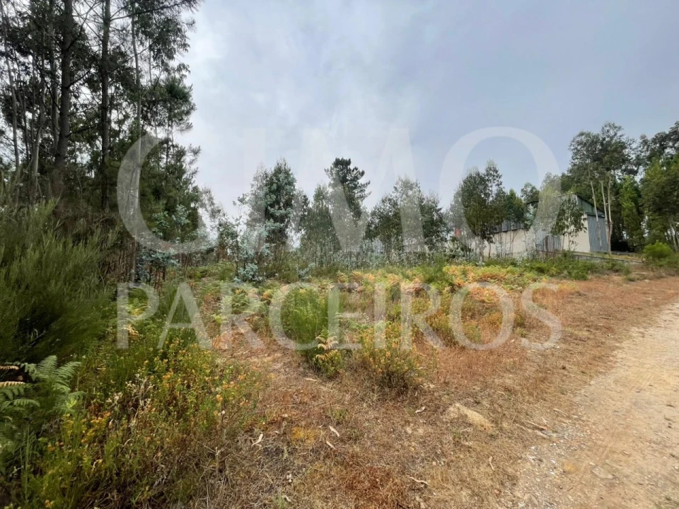 Terreno para Venda em Oliveira do Bairro Foto 9