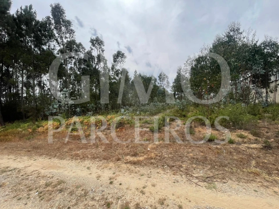 Terreno para Venda em Oliveira do Bairro Foto 11