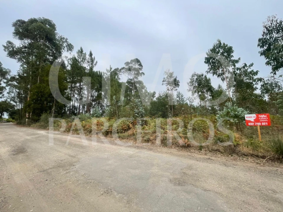 Terreno para Venda em Oliveira do Bairro Foto 16