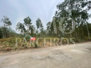 Terreno para Venda em Oliveira do Bairro