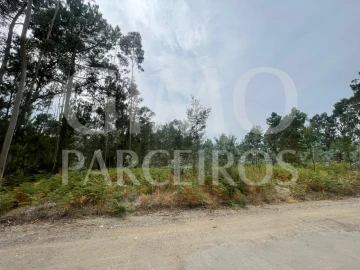 Terreno para Venda em Oliveira do Bairro