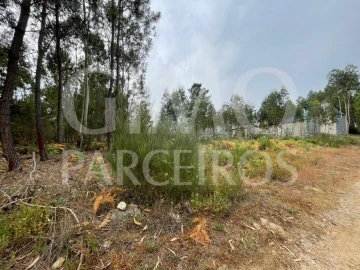 Terreno para Venda em Oliveira do Bairro