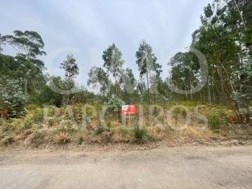 Terreno para Venda em Oliveira do Bairro