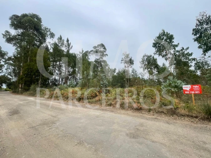 Terreno para Venda em Oliveira do Bairro Foto 16