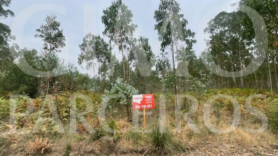 Terreno para Venda em Oliveira do Bairro