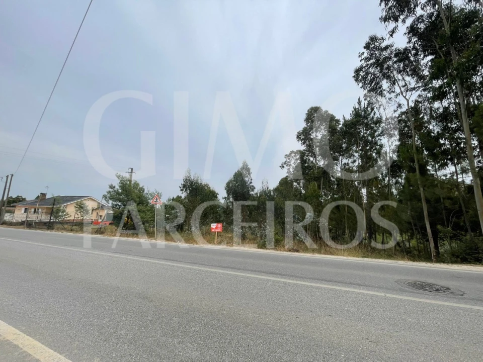 Terreno para Venda em Oliveira do Bairro Foto 5