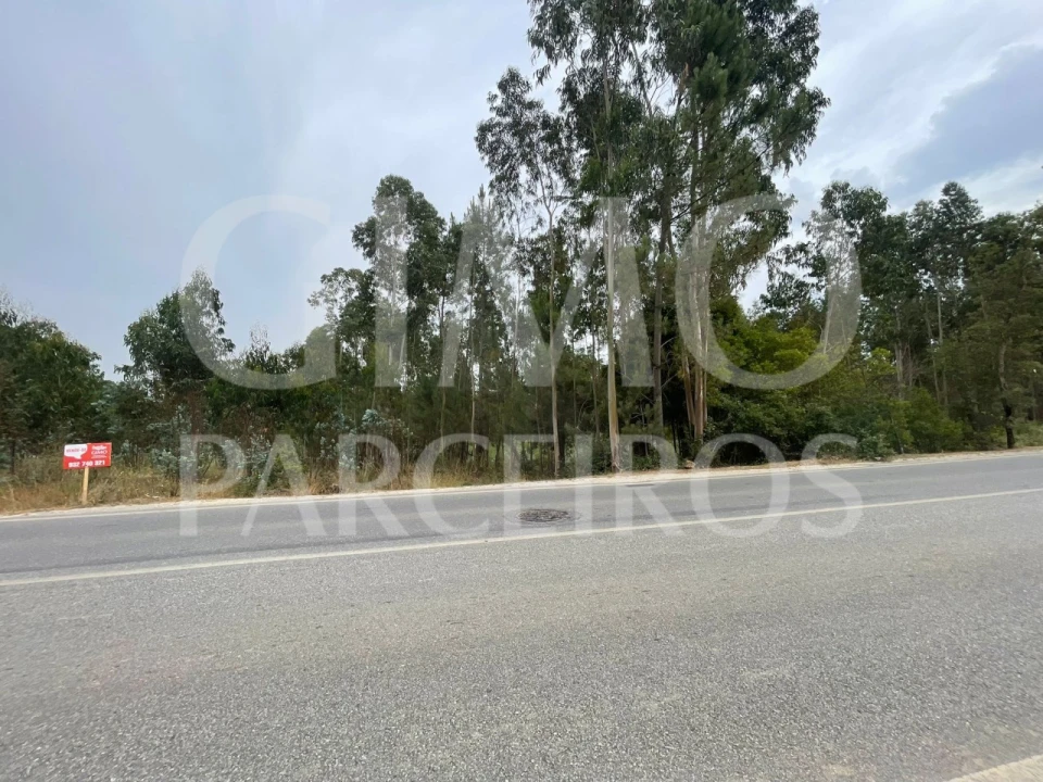 Terreno para Venda em Oliveira do Bairro Foto 10