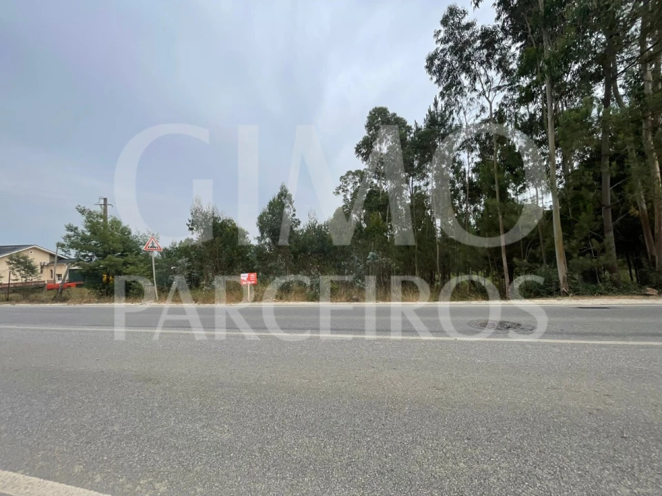 Terreno para Venda em Oliveira do Bairro Foto 14