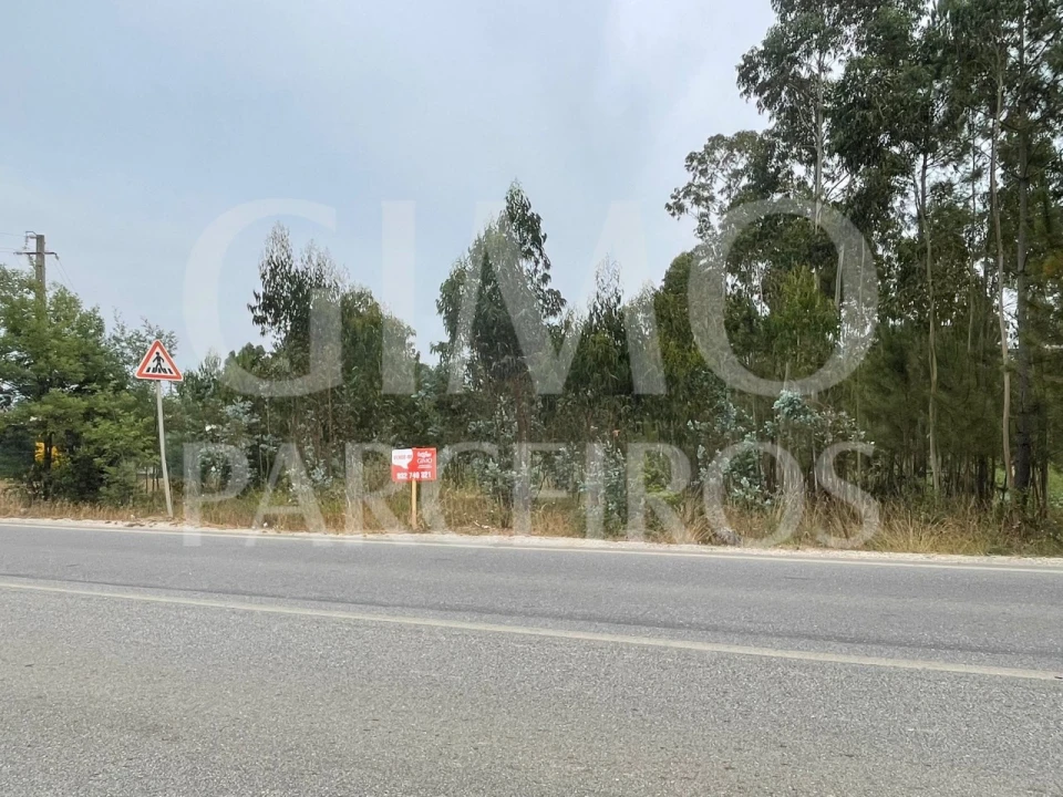 Terreno para Venda em Oliveira do Bairro Foto 1