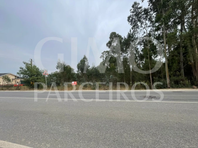 Terreno para Venda em Oliveira do Bairro Foto 14