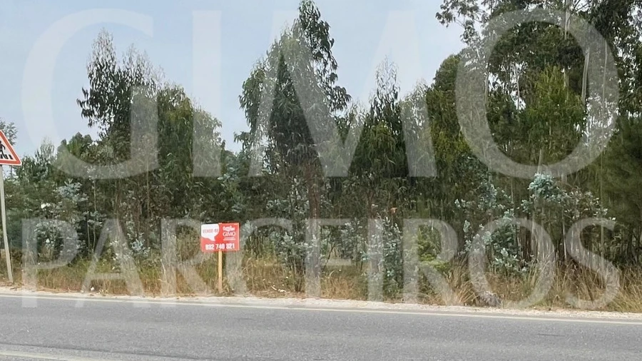 Terreno para Venda em Oliveira do Bairro
