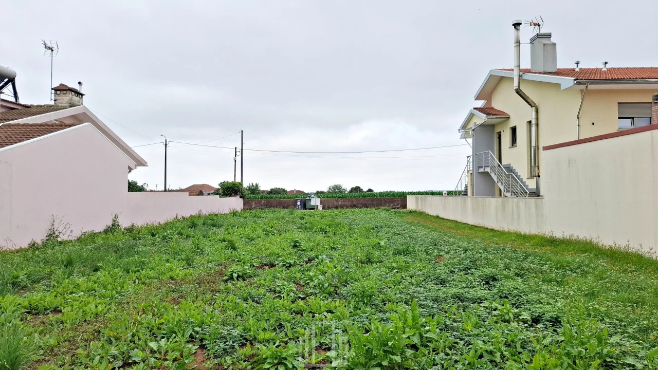 Terreno para Venda em Ovar, São João, Arada e São Vicente de Pereira Jusã Foto 3