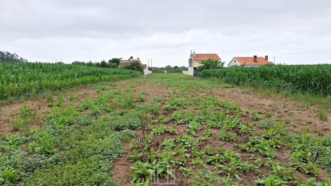Terreno para Venda em Ovar, São João, Arada e São Vicente de Pereira Jusã Foto 4