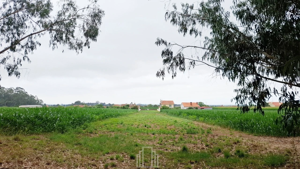 Terreno para Venda em Ovar, São João, Arada e São Vicente de Pereira Jusã Foto 6
