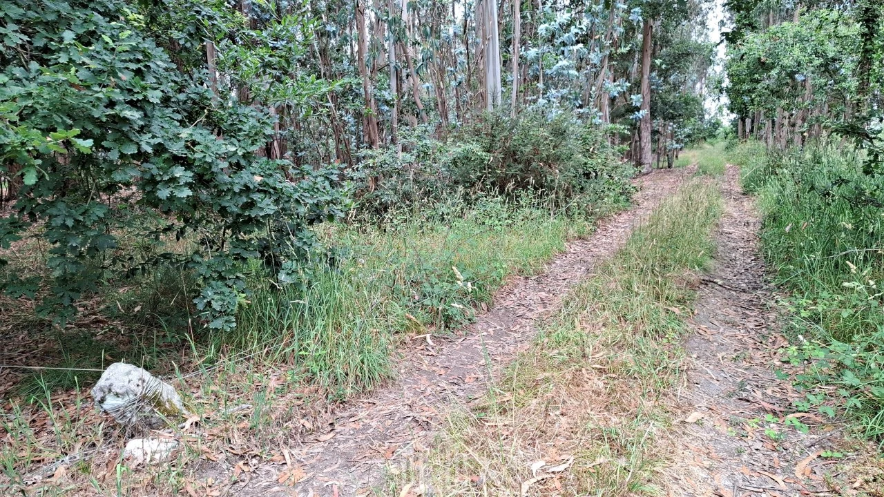 Terreno para Venda em Ovar, São João, Arada e São Vicente de Pereira Jusã Foto 8