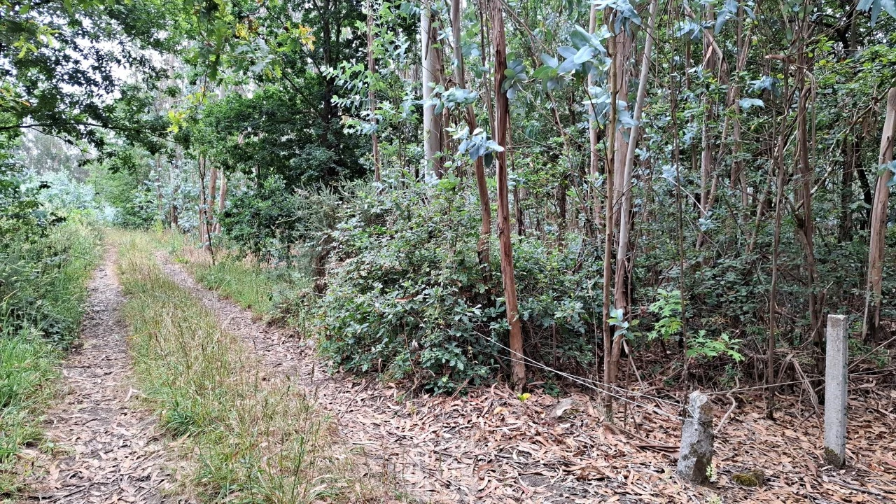 Terreno para Venda em Ovar, São João, Arada e São Vicente de Pereira Jusã Foto 10