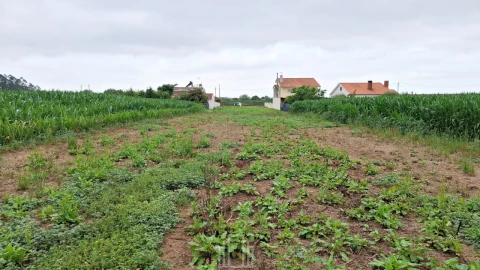 Terreno para Venda em Ovar, São João, Arada e São Vicente de Pereira Jusã