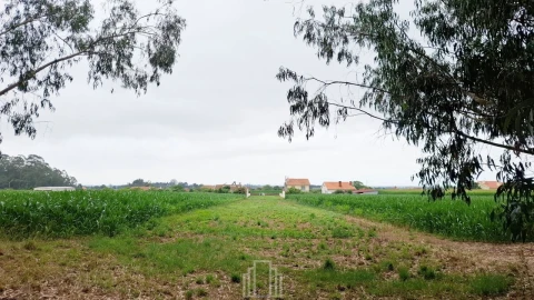 Terreno para Venda em Ovar, São João, Arada e São Vicente de Pereira Jusã