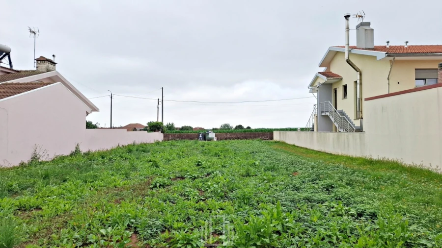 Terreno para Venda em Ovar, São João, Arada e São Vicente de Pereira Jusã Foto 3