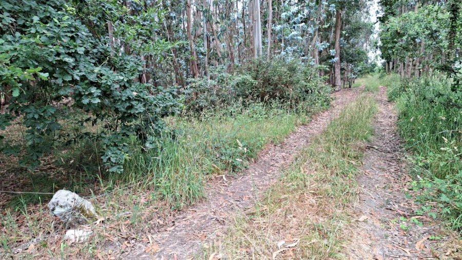 Terreno para Venda em Ovar, São João, Arada e São Vicente de Pereira Jusã Foto 8