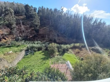 Moradia T3 para Venda em Ponta do Pargo