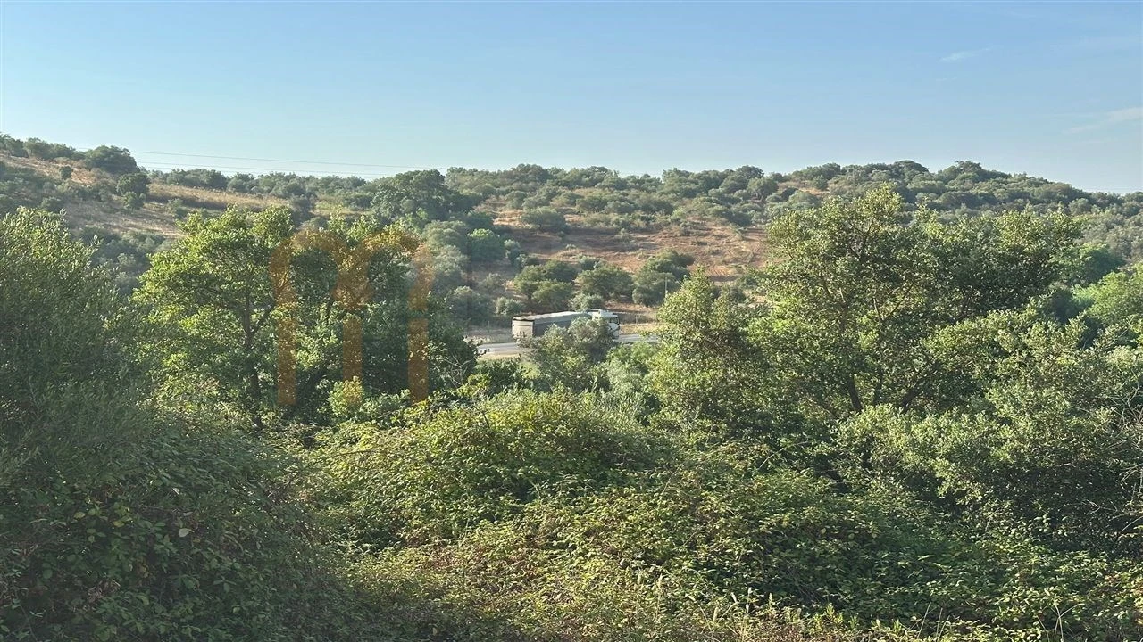 Terreno Agricola ou Rústico para Venda em Vila de Frades Foto 11