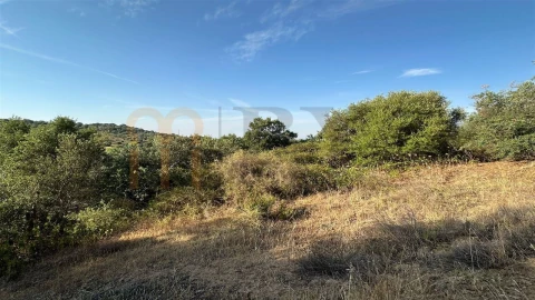 Terreno Agricola ou Rústico para Venda em Vila de Frades