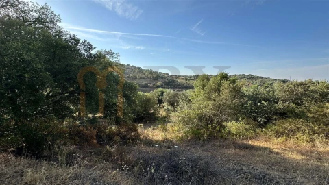 Terreno Agricola ou Rústico para Venda em Vila de Frades