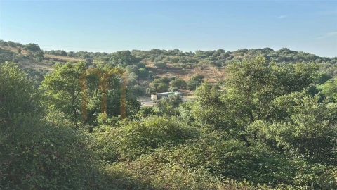Terreno Agricola ou Rústico para Venda em Vila de Frades