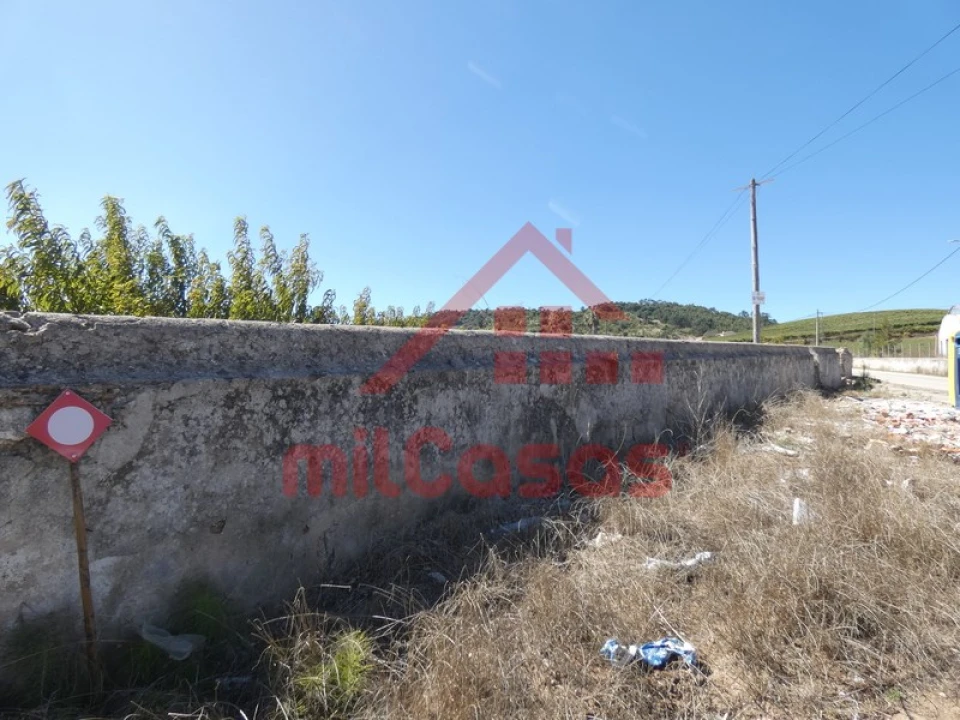 Terreno Agricola ou Rústico para Venda em Azueira e Sobral da Abelheira Foto 4