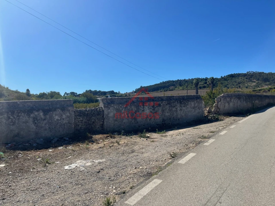 Terreno Agricola ou Rústico para Venda em Azueira e Sobral da Abelheira Foto 2