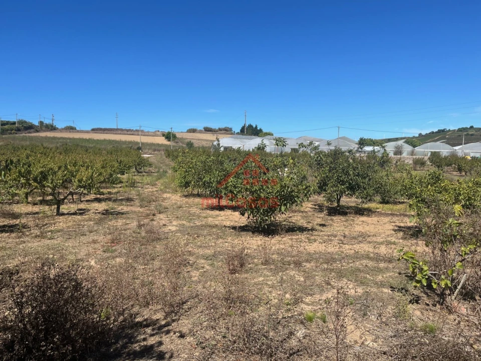 Terreno Agricola ou Rústico para Venda em Azueira e Sobral da Abelheira Foto 1