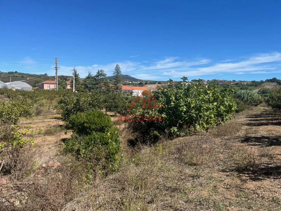 Terreno Agricola ou Rústico para Venda em Azueira e Sobral da Abelheira Foto 7