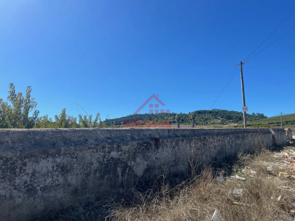 Terreno Agricola ou Rústico para Venda em Azueira e Sobral da Abelheira Foto 10