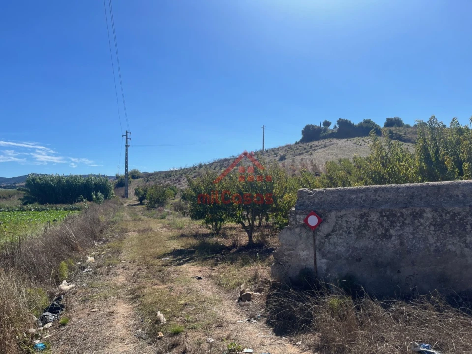 Terreno Agricola ou Rústico para Venda em Azueira e Sobral da Abelheira Foto 11