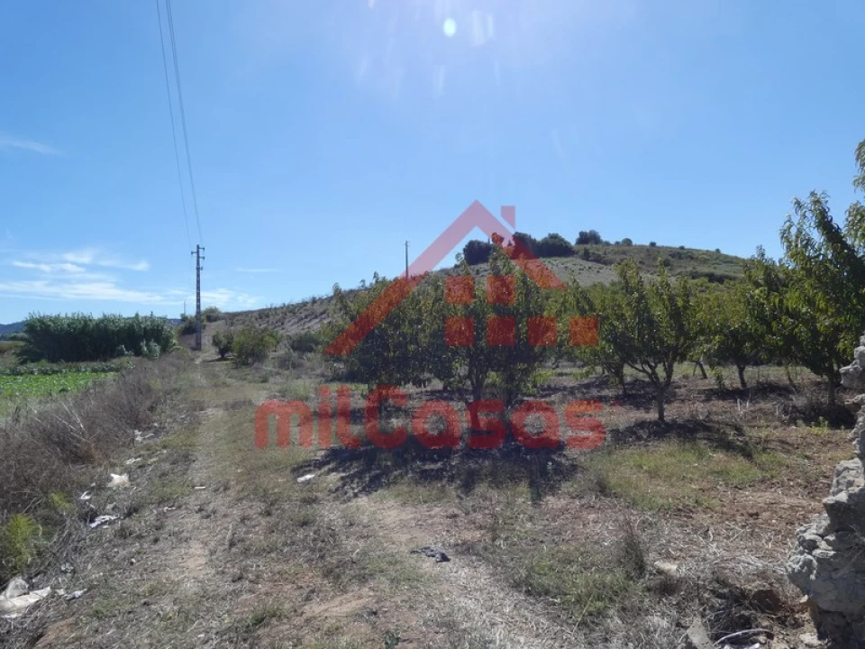 Terreno Agricola ou Rústico para Venda em Azueira e Sobral da Abelheira Foto 13