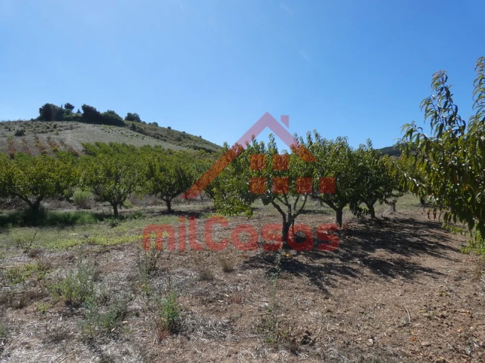 Terreno Agricola ou Rústico para Venda em Azueira e Sobral da Abelheira Foto 15