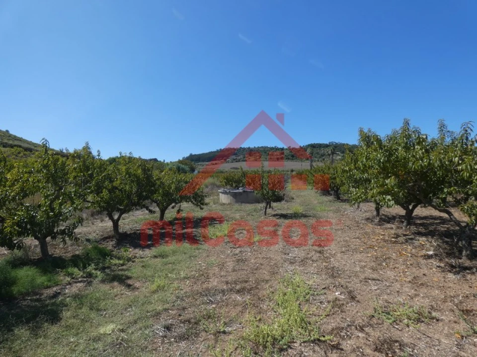 Terreno Agricola ou Rústico para Venda em Azueira e Sobral da Abelheira Foto 16