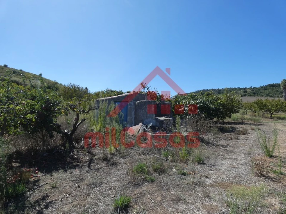 Terreno Agricola ou Rústico para Venda em Azueira e Sobral da Abelheira Foto 17